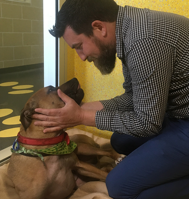 Gregory at RSPCA Queensland animal care shelter having a cuddle with Chief RSPCA Inspector